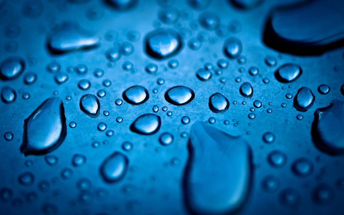 Магические цветы