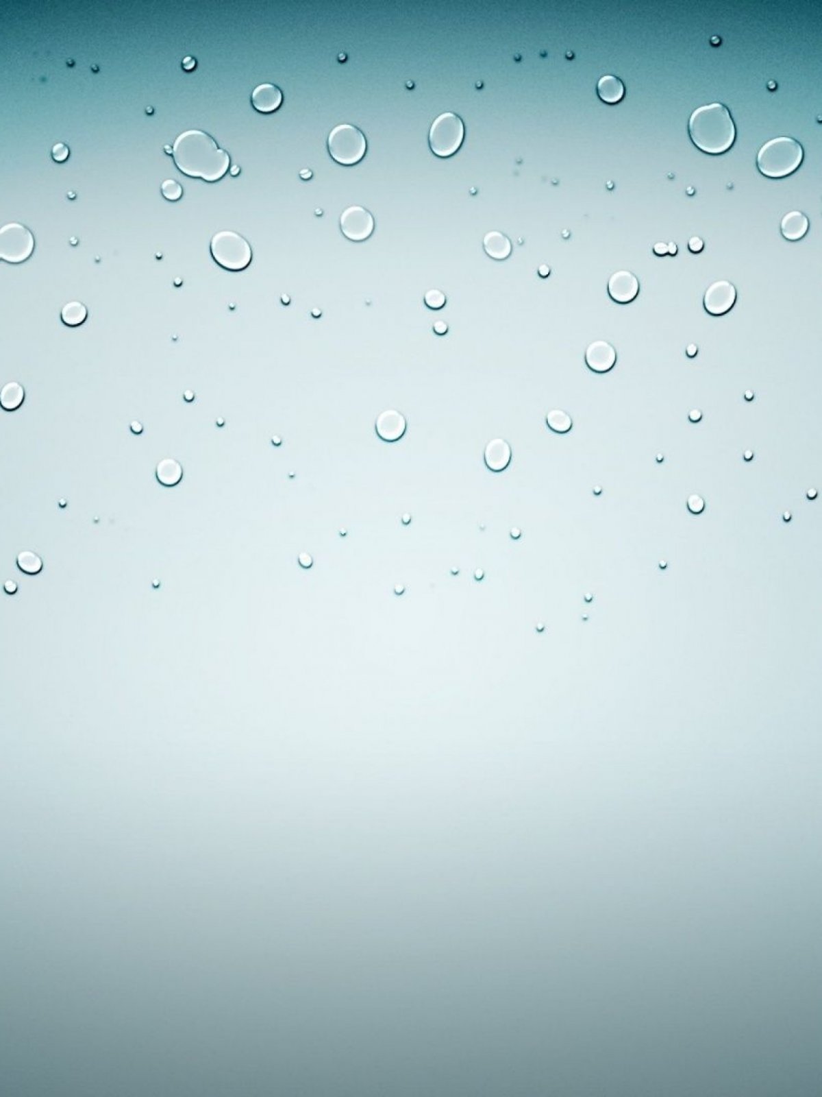 Очень красивые цветы на черном фоне