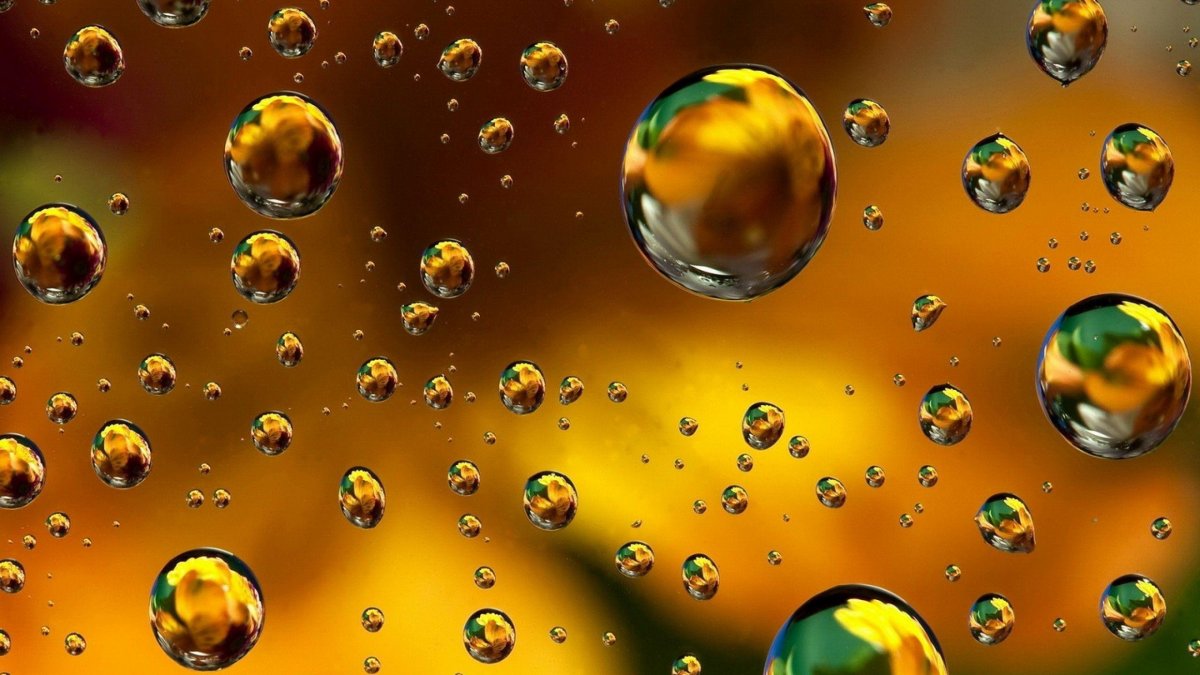 Обои 360х640 для смартфонов