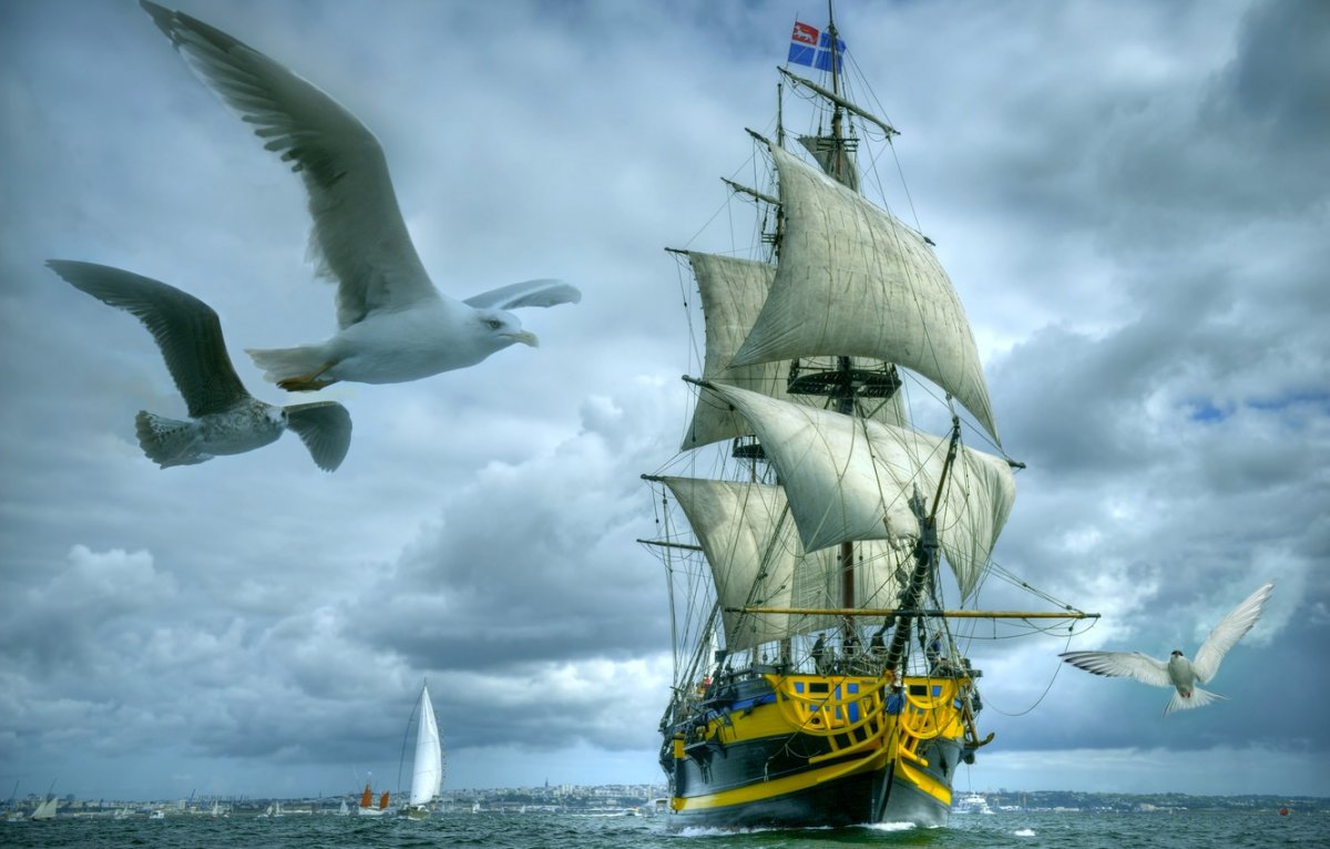 Assassins Creed Бриг