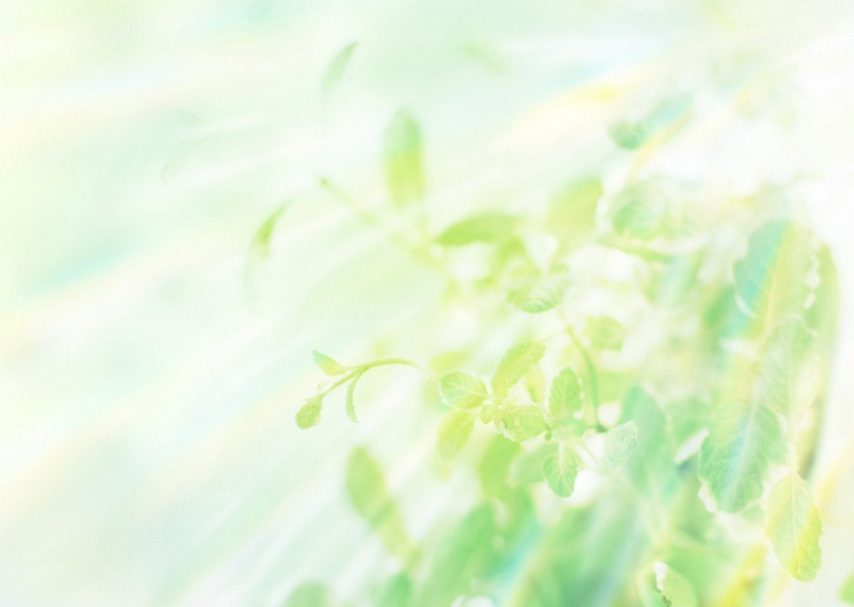 Светло зеленый фон