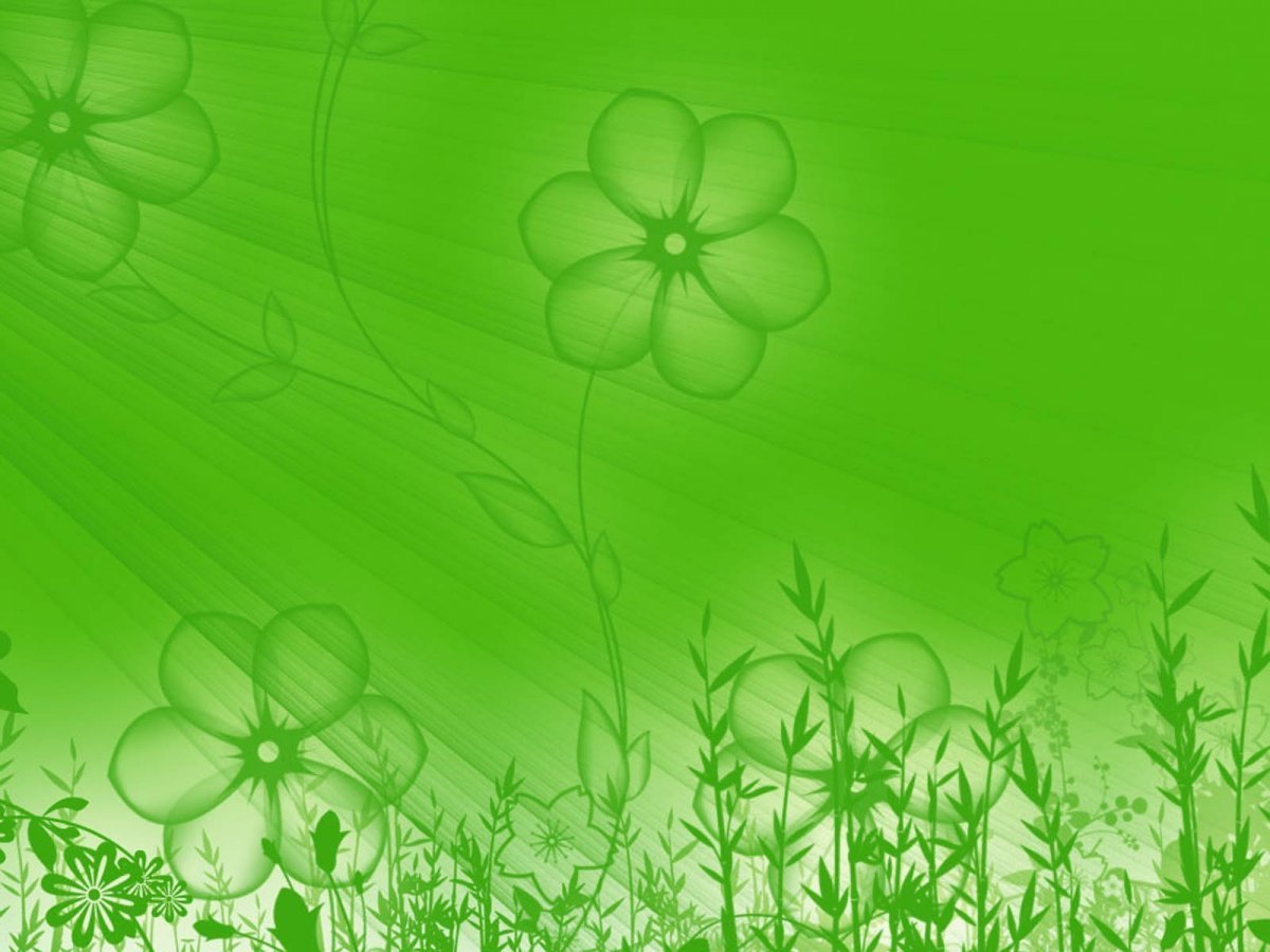 Красивый зеленый фон для презентации однотонный