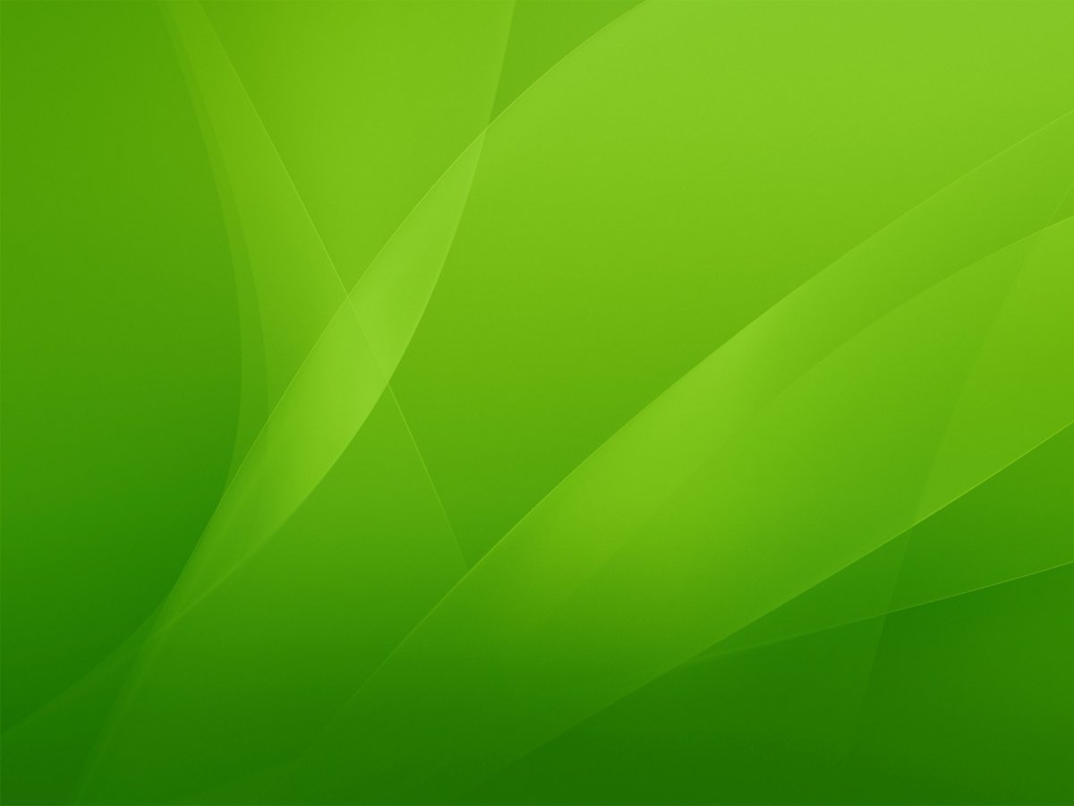 Красивый зеленый фон для презентации