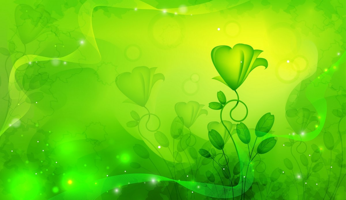 Салатовый фон