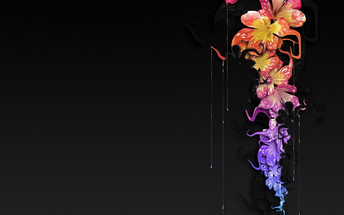 Разноцветные цветы на черном фоне