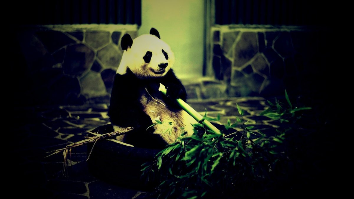 Милые обои на телефон