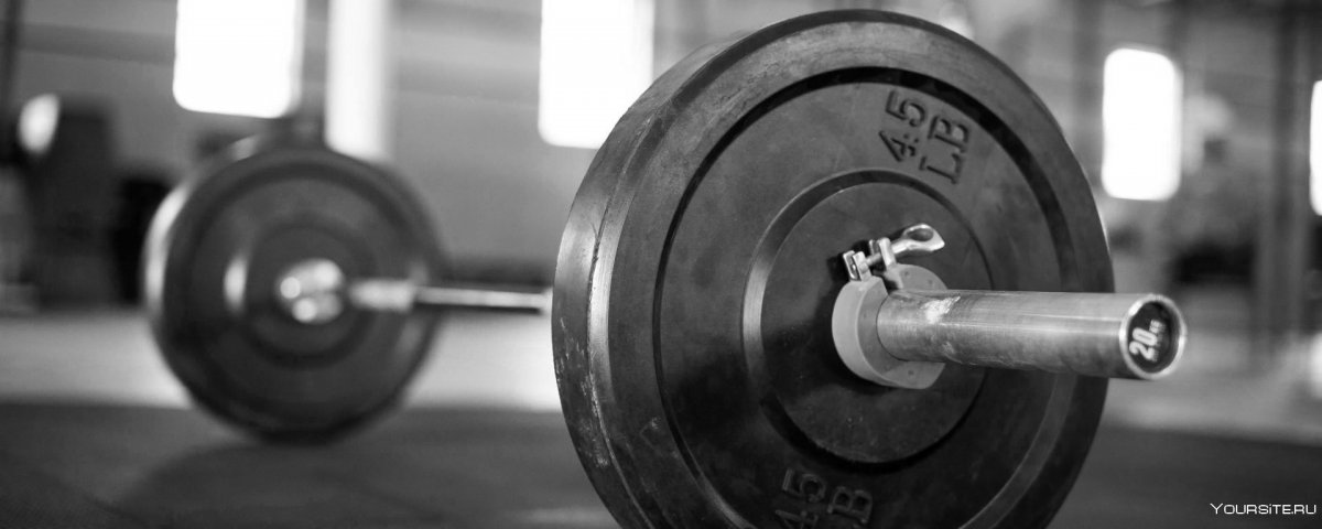 Спортивные девушки