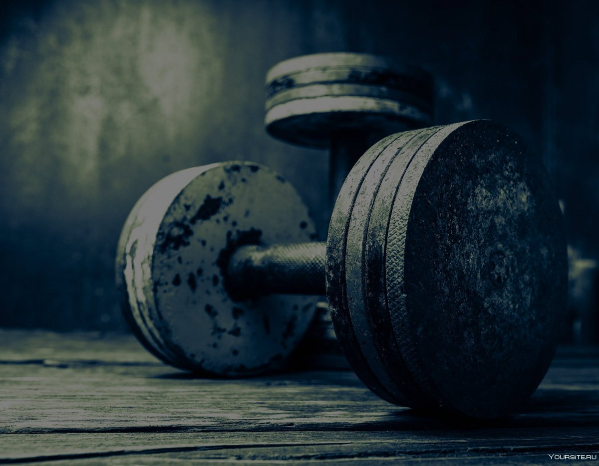 Гири обои на рабочий стол