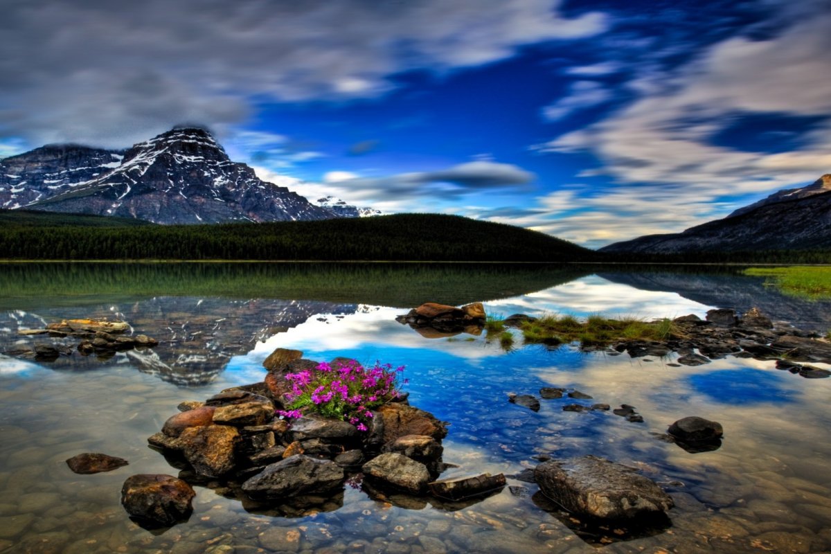 Современная природа