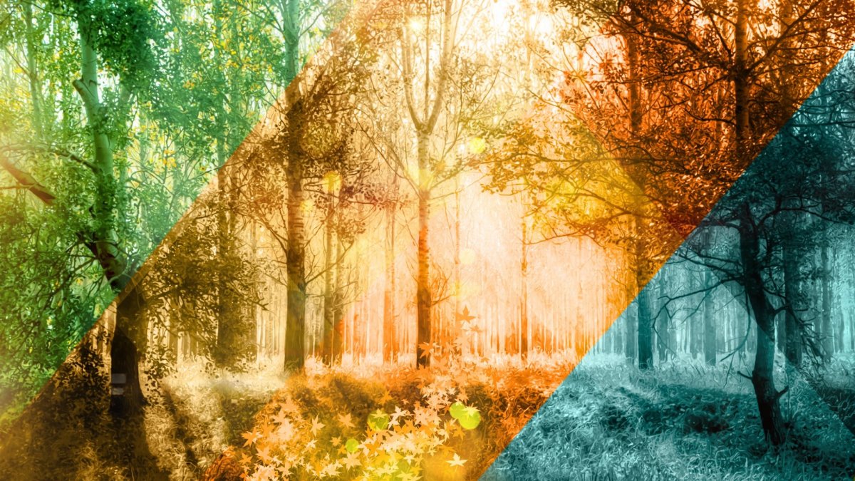 Времена года рисунок