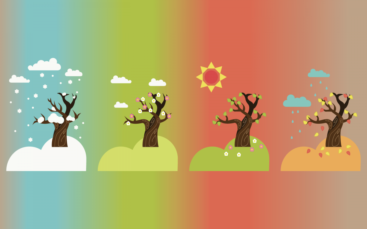 Картины в Разное время года