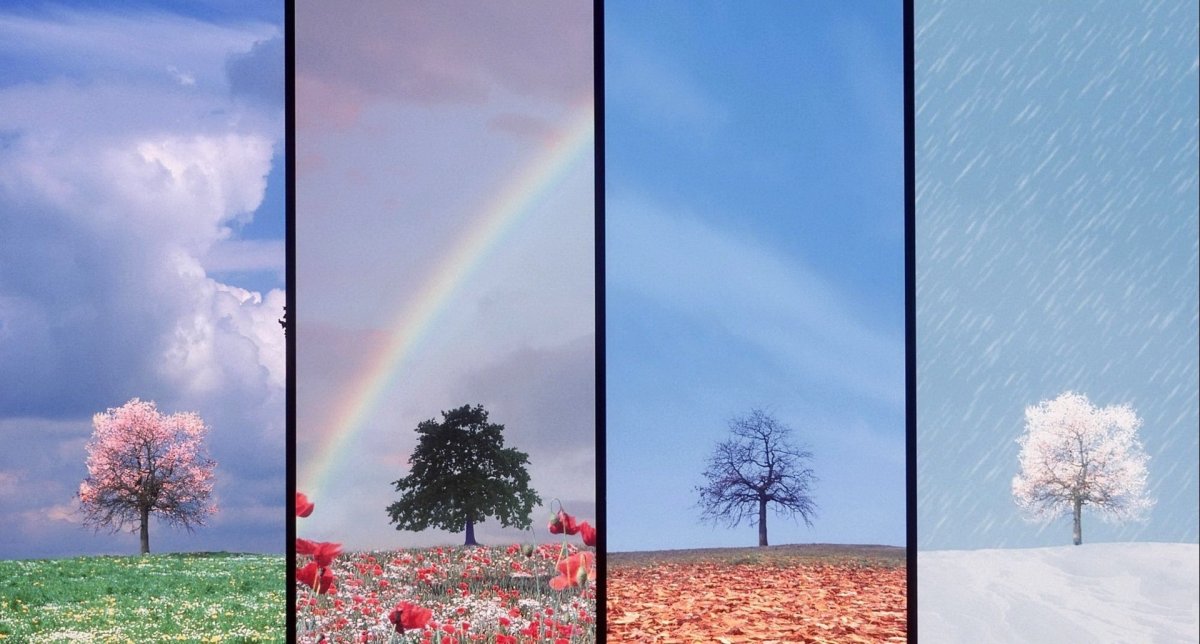 Фон для лэпбука зима