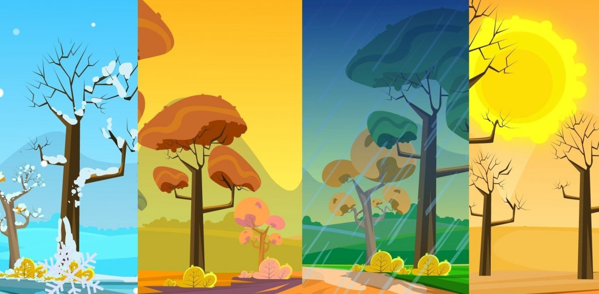 Осень переходящая в зиму