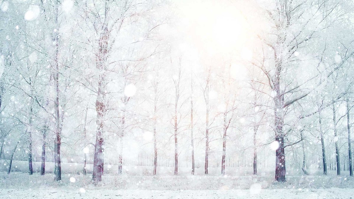 Пейзаж 4 времени года