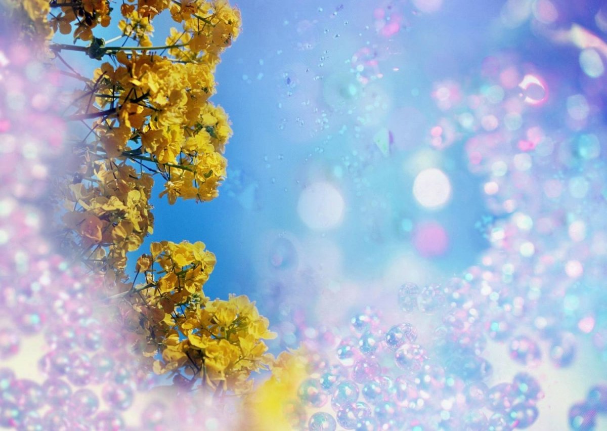 Дерево зима лето