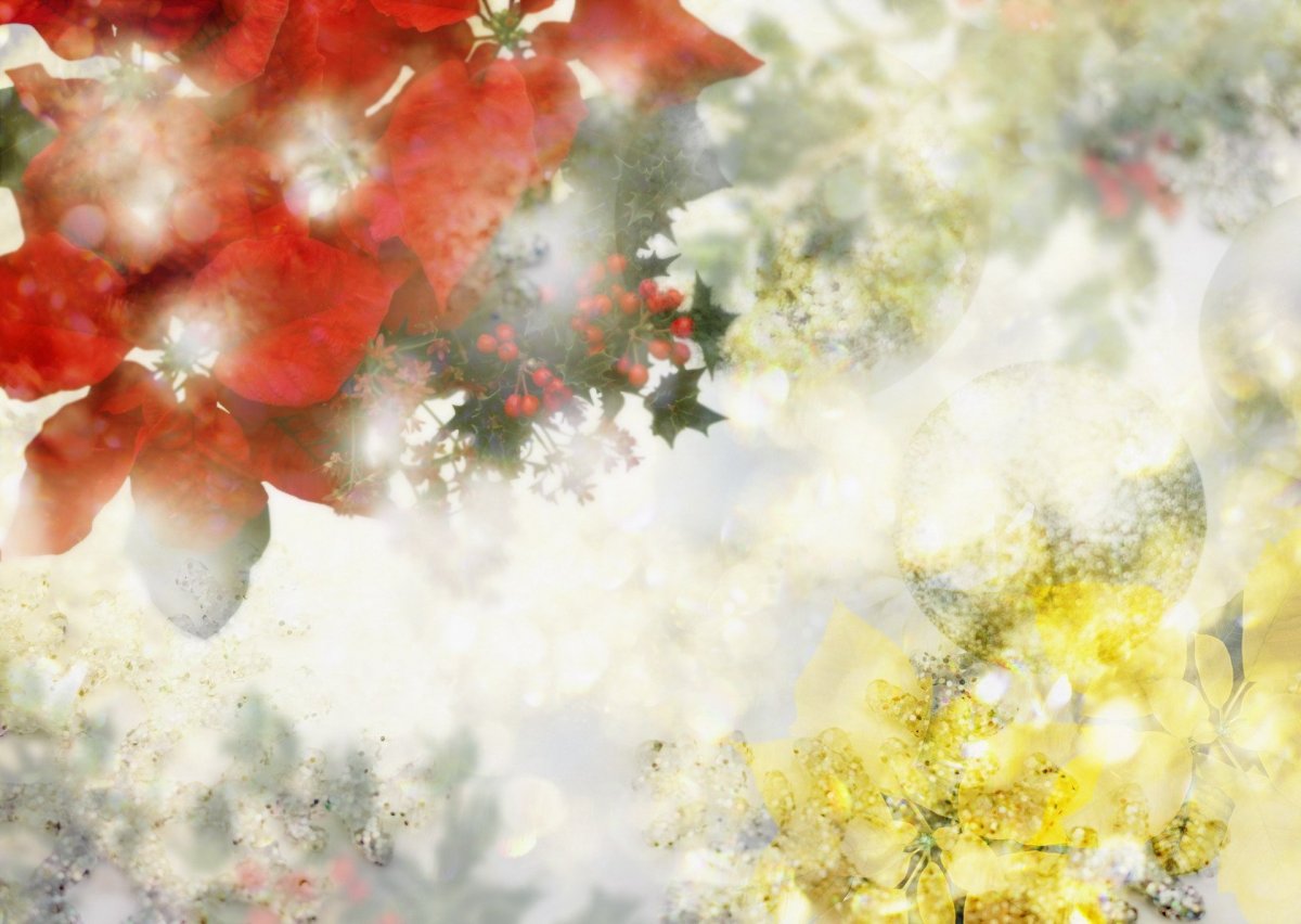 Зима солнце