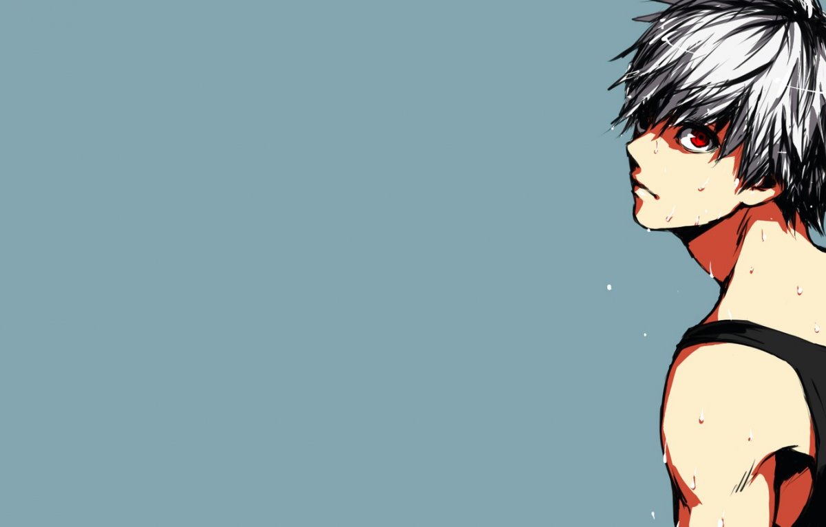 Тодороки Токио гуль