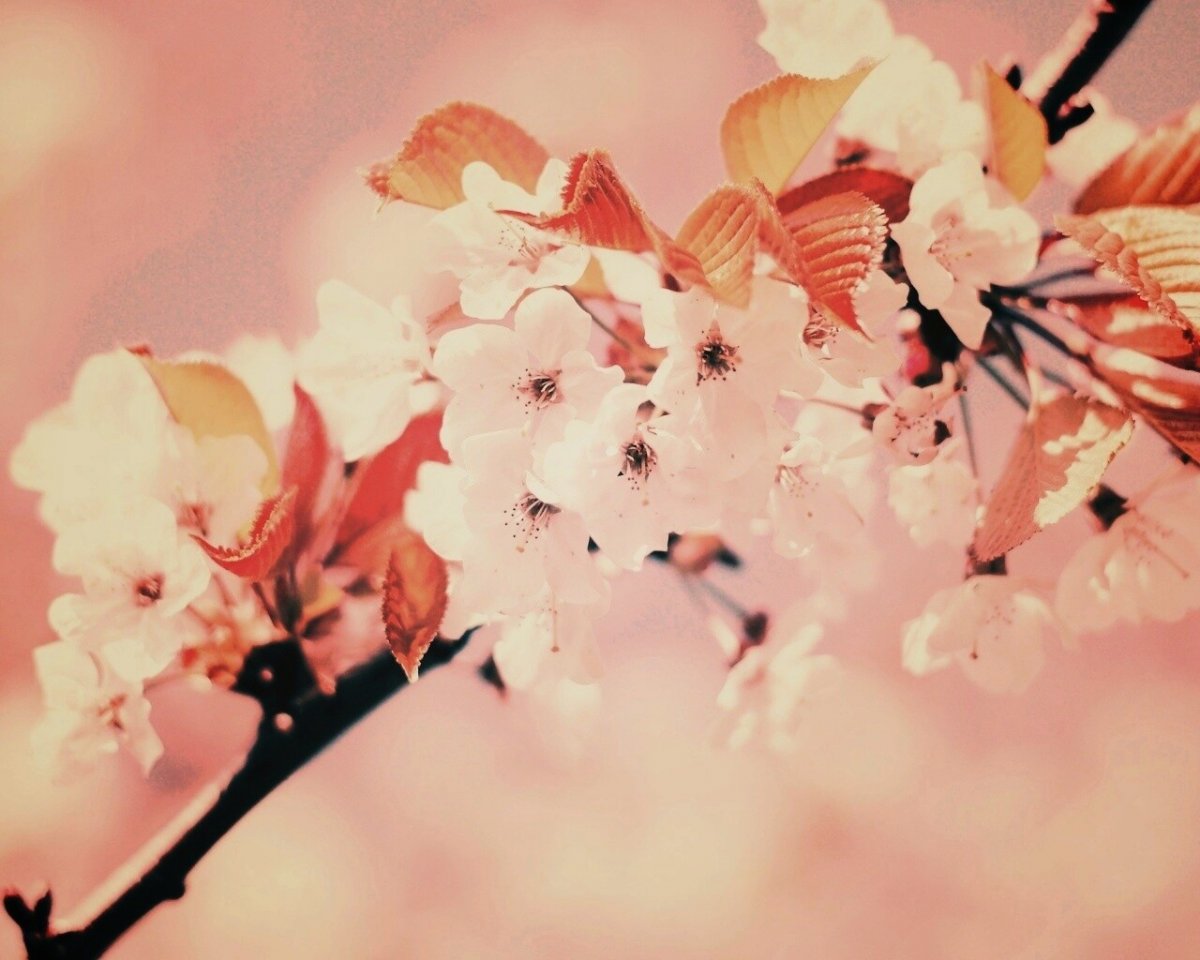 Весна вертикально