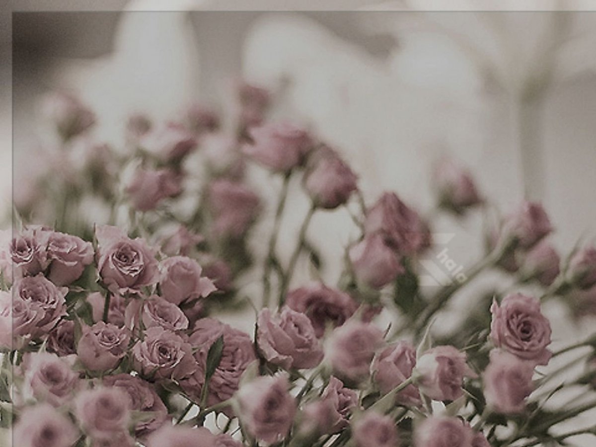 Розовый фактурный фон