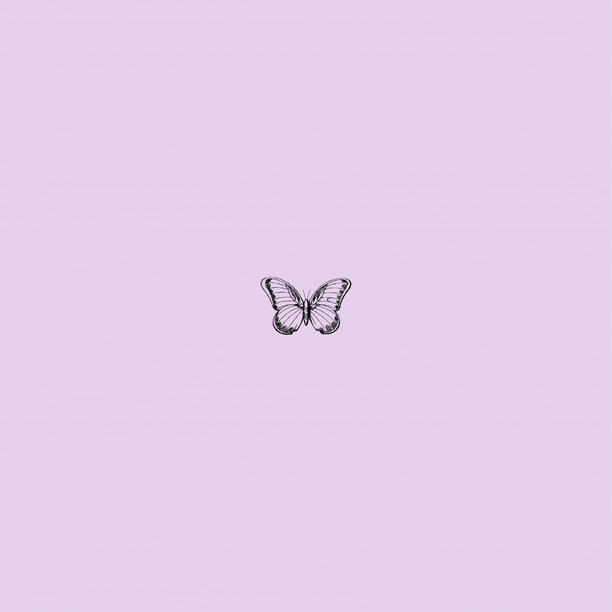 Сиреневые цветы с бабочками