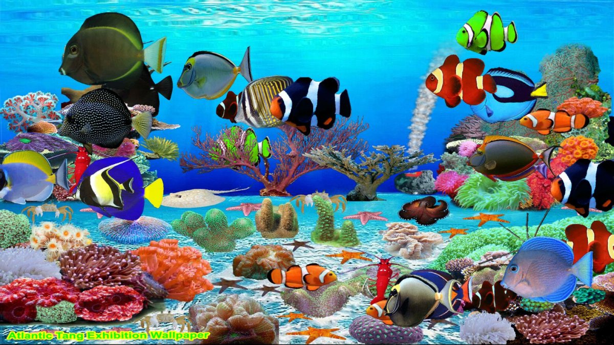 3д обои аквариум для бассейна