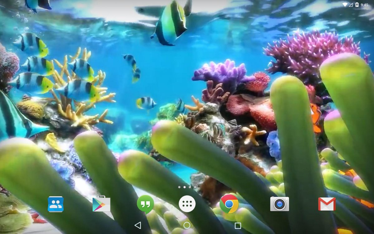 Живые обои аквариум анимация