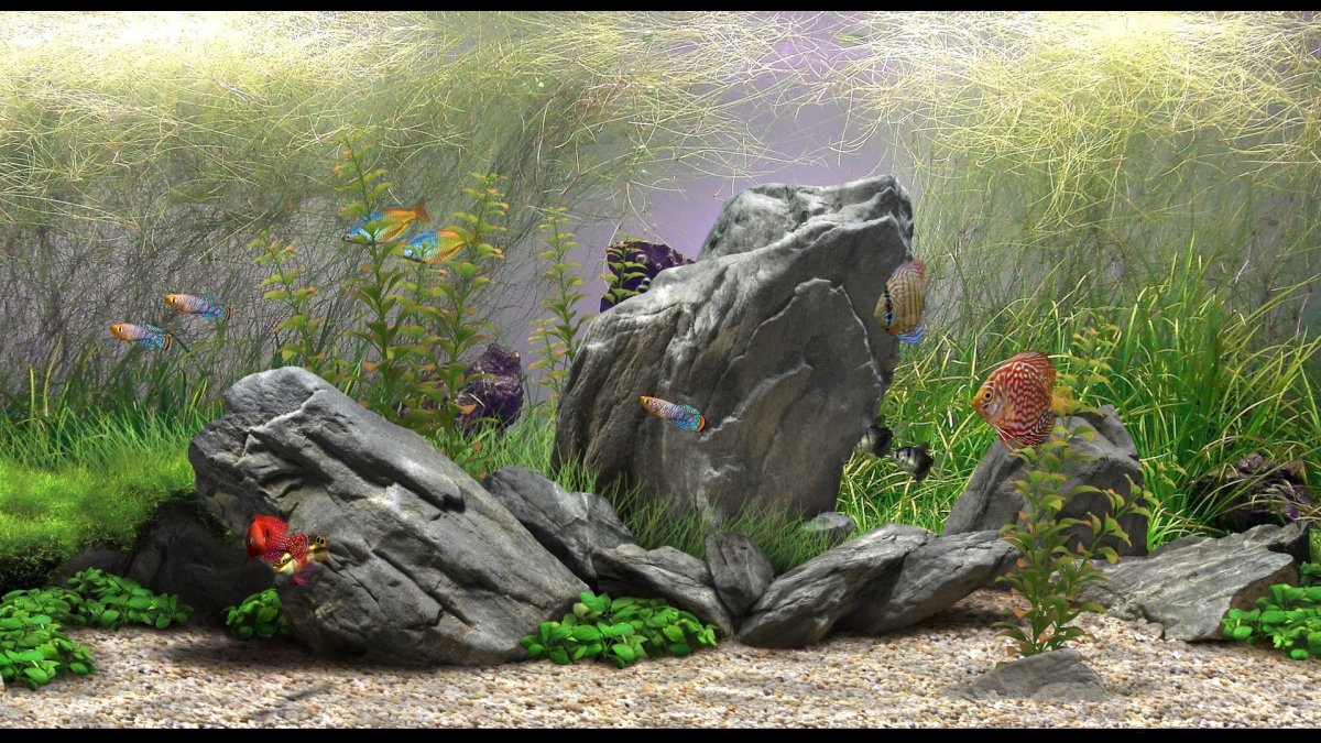 Screensaver 3d аквариум Windows 98