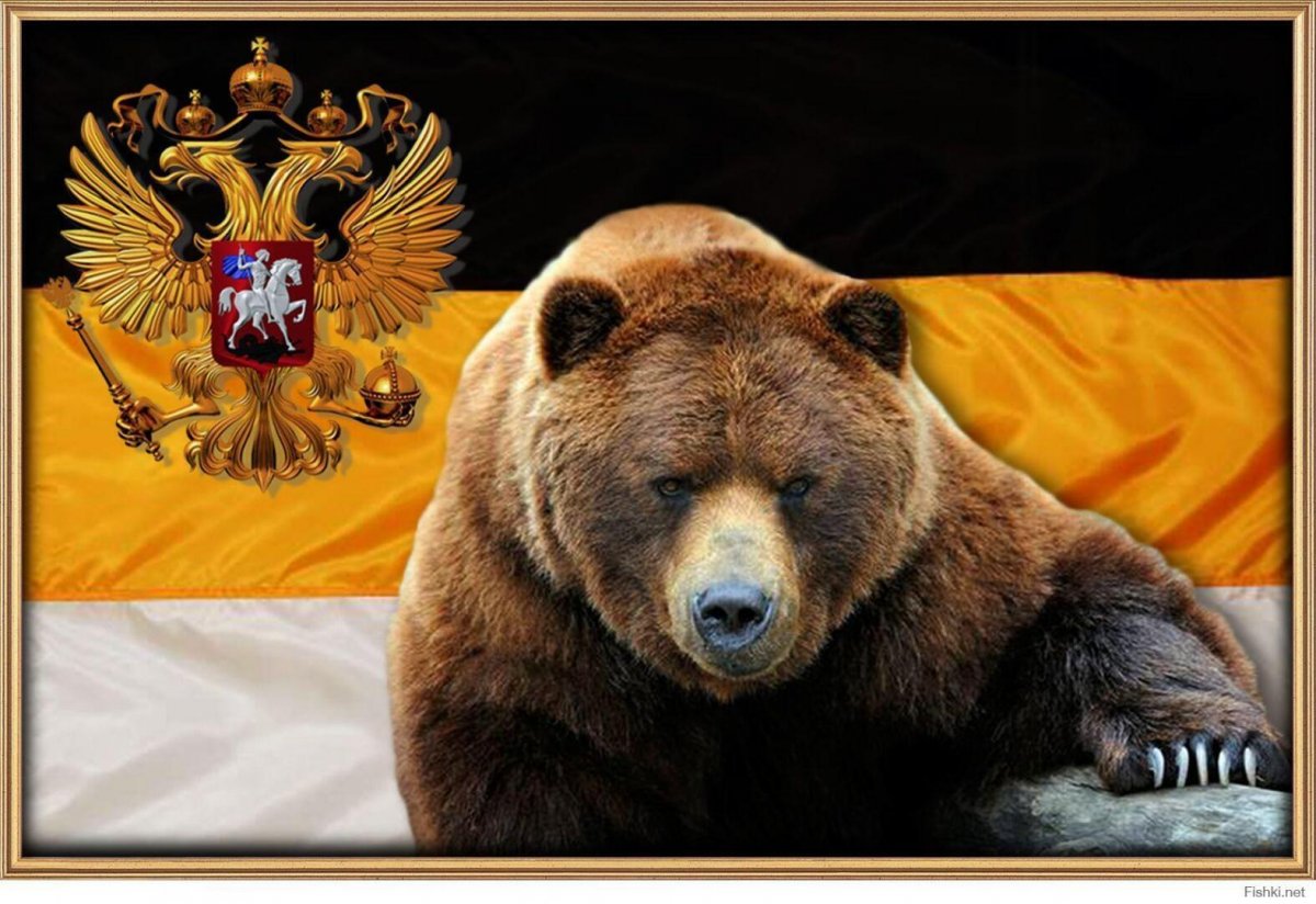 Дарья Лефлер модель