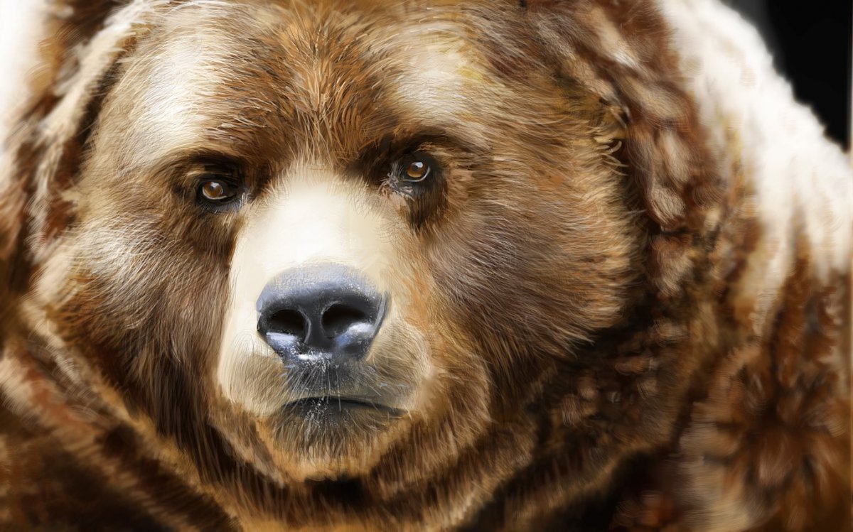 Шапка "медведь"