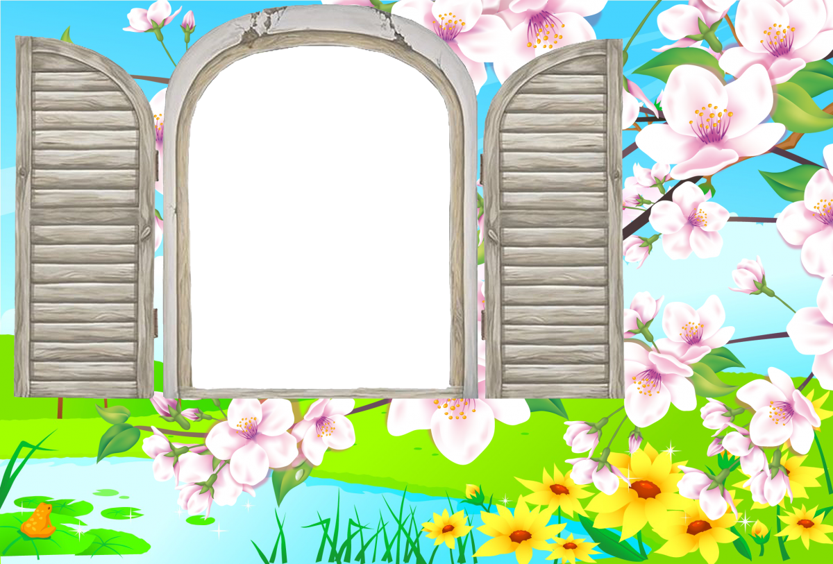 Цветочные виньетки на прозрачном фоне