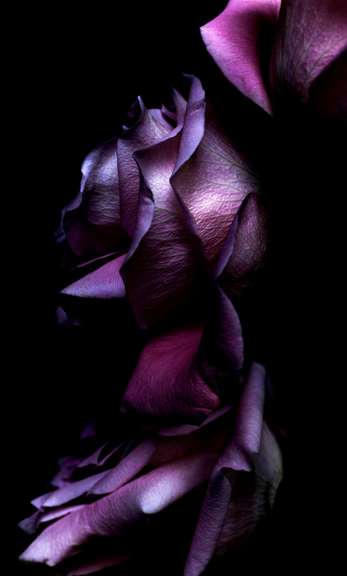 Девушка на черном фоне