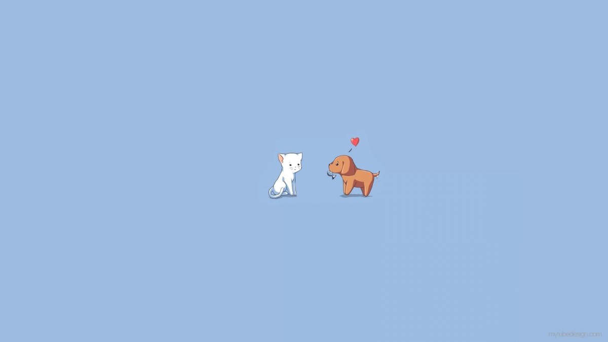 Аниме коты обои