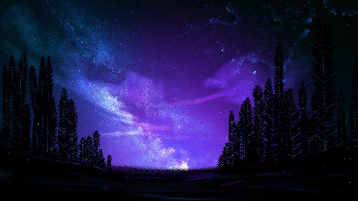 Самая красивая ночь