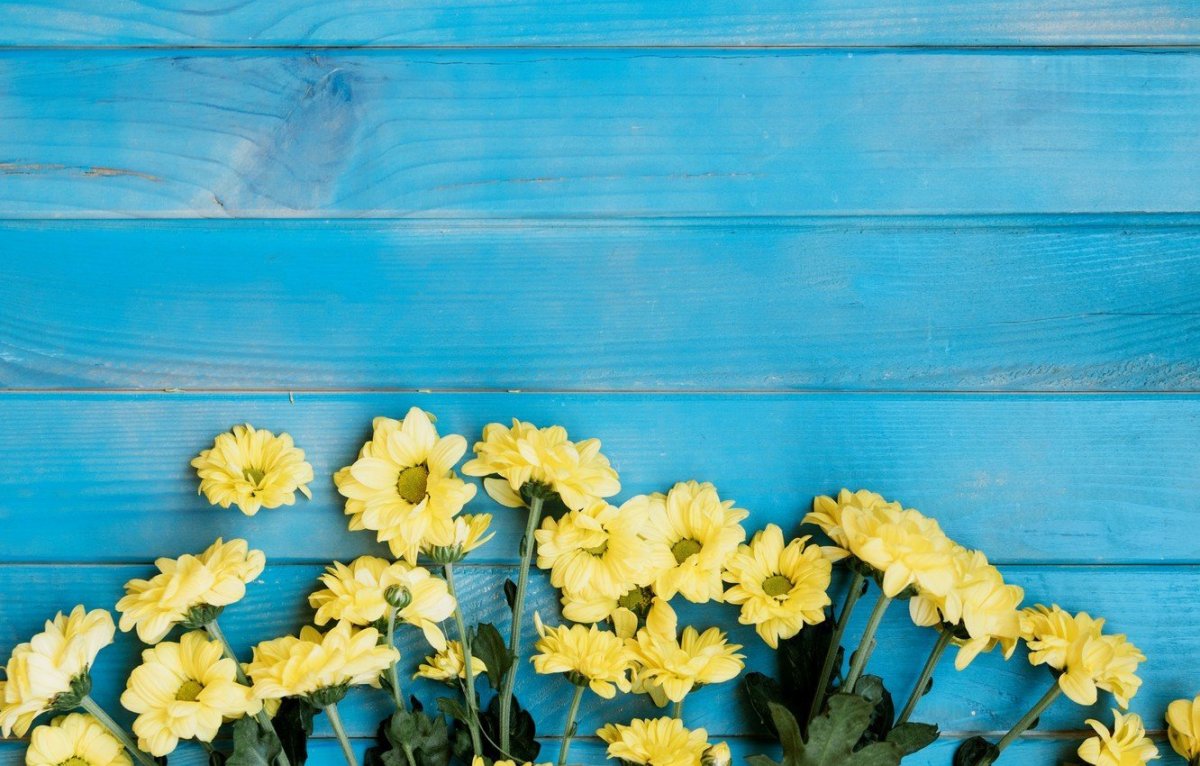 Желтые цветочки