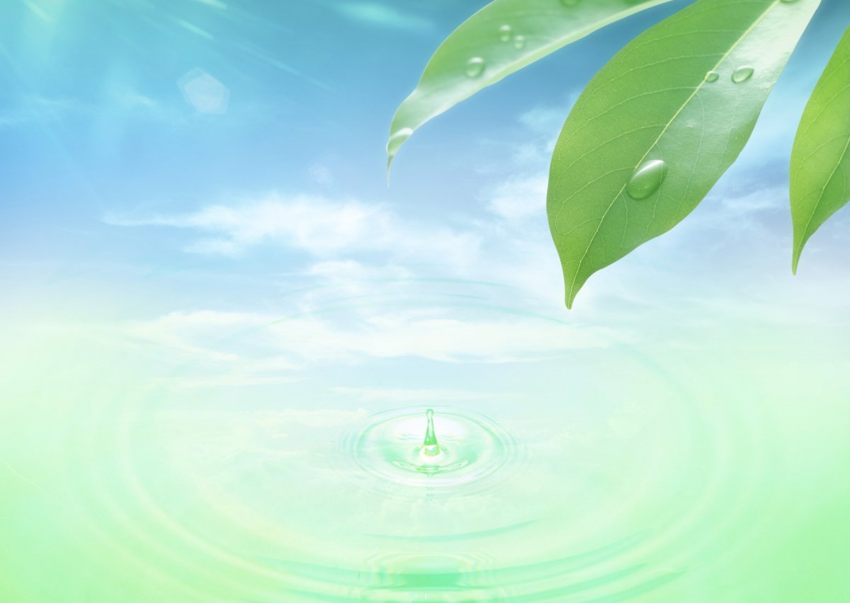 Фон для презентации экология