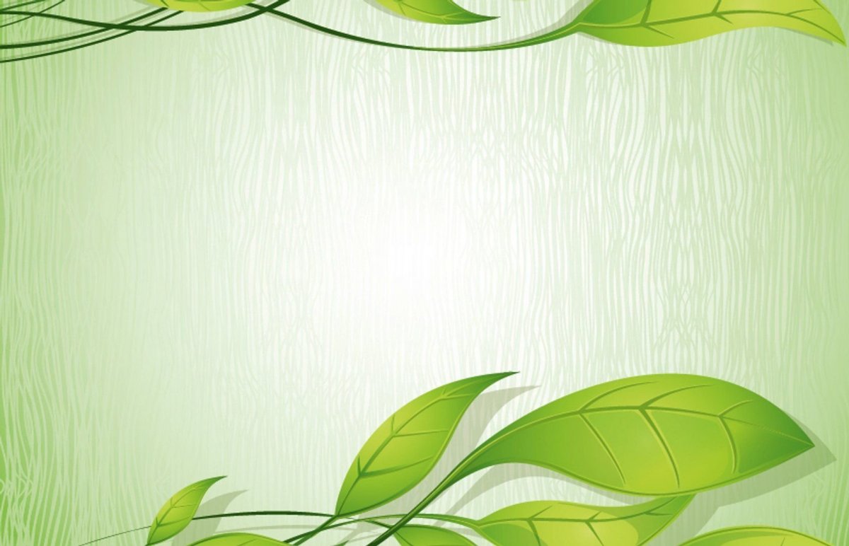 Фон зелень