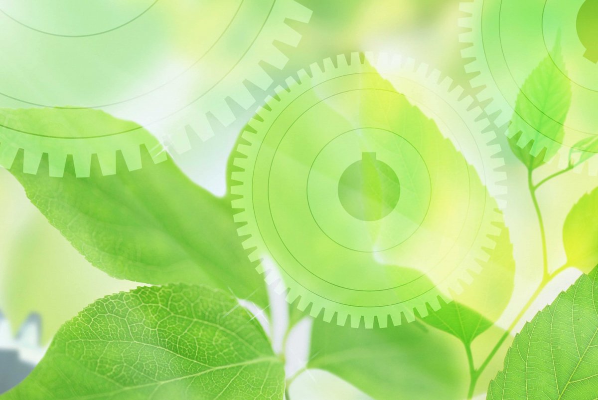 Бабочки на фоне природы