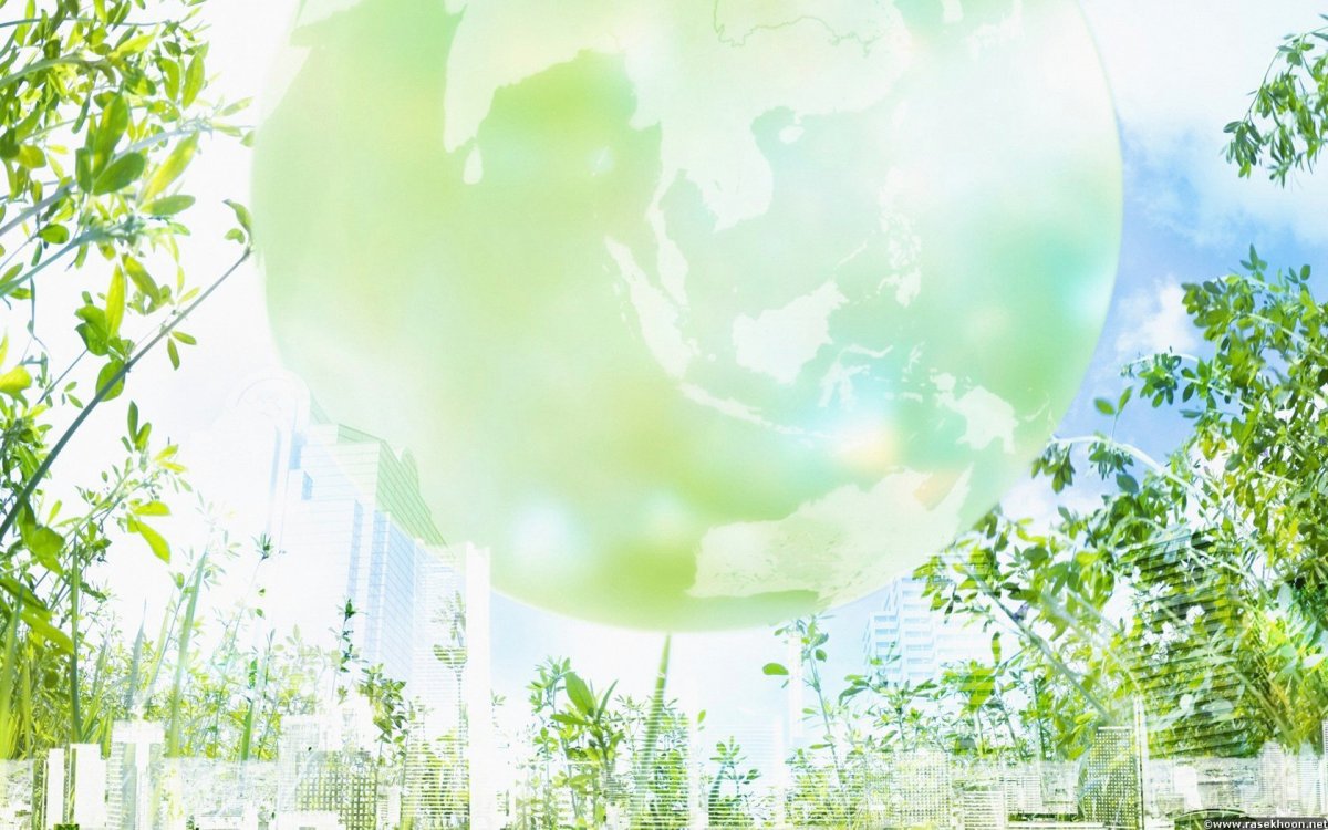 Экологический фон