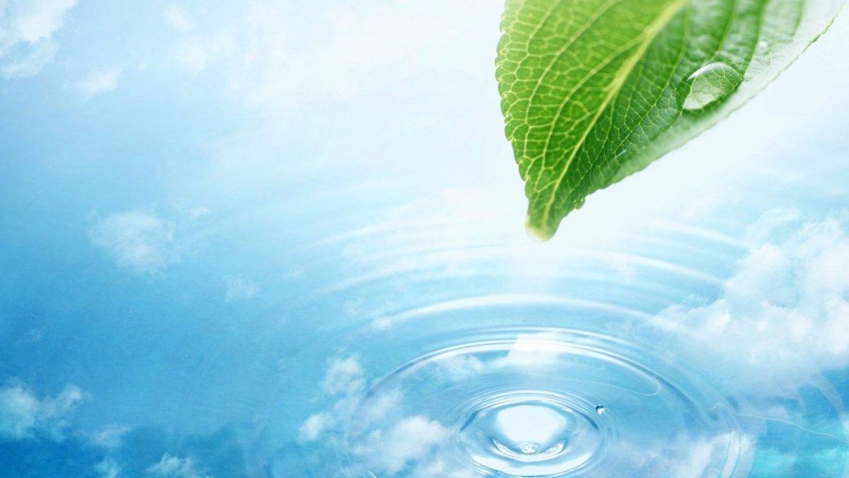 Фон для презентации природа