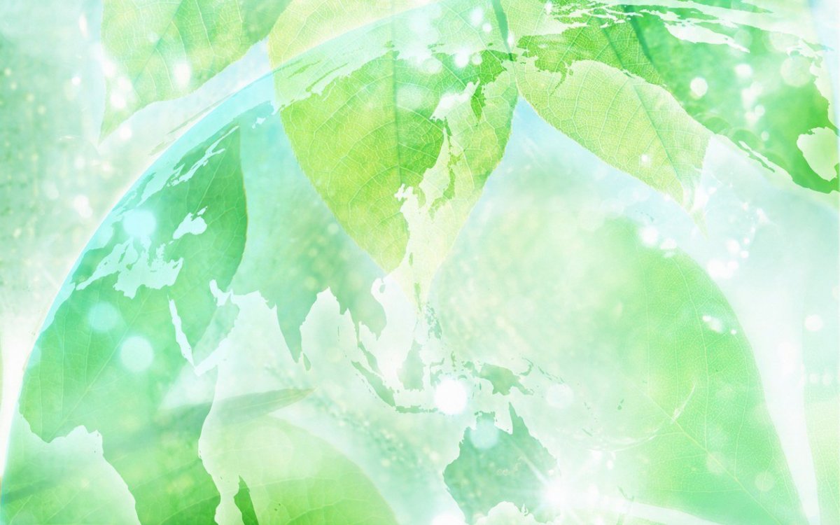 Экологический фон