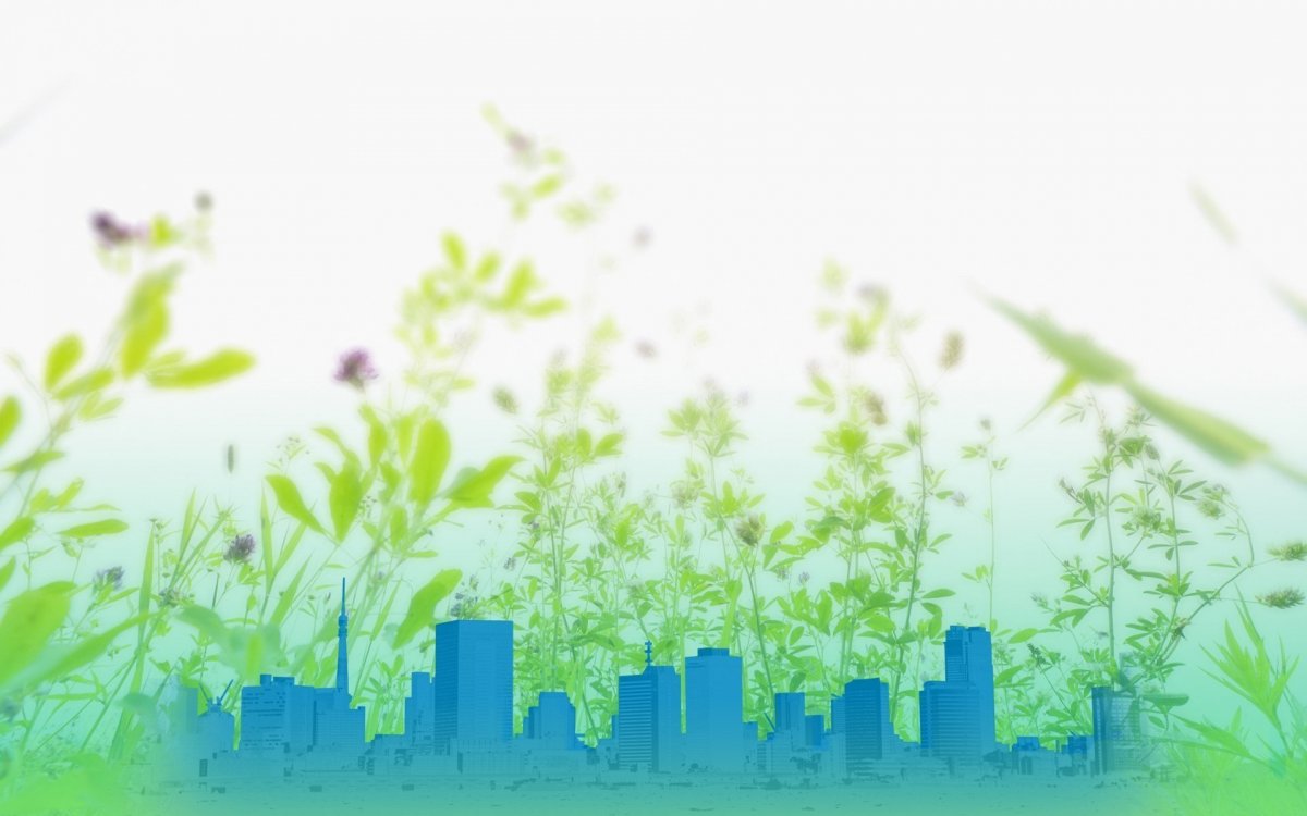 Экология фон