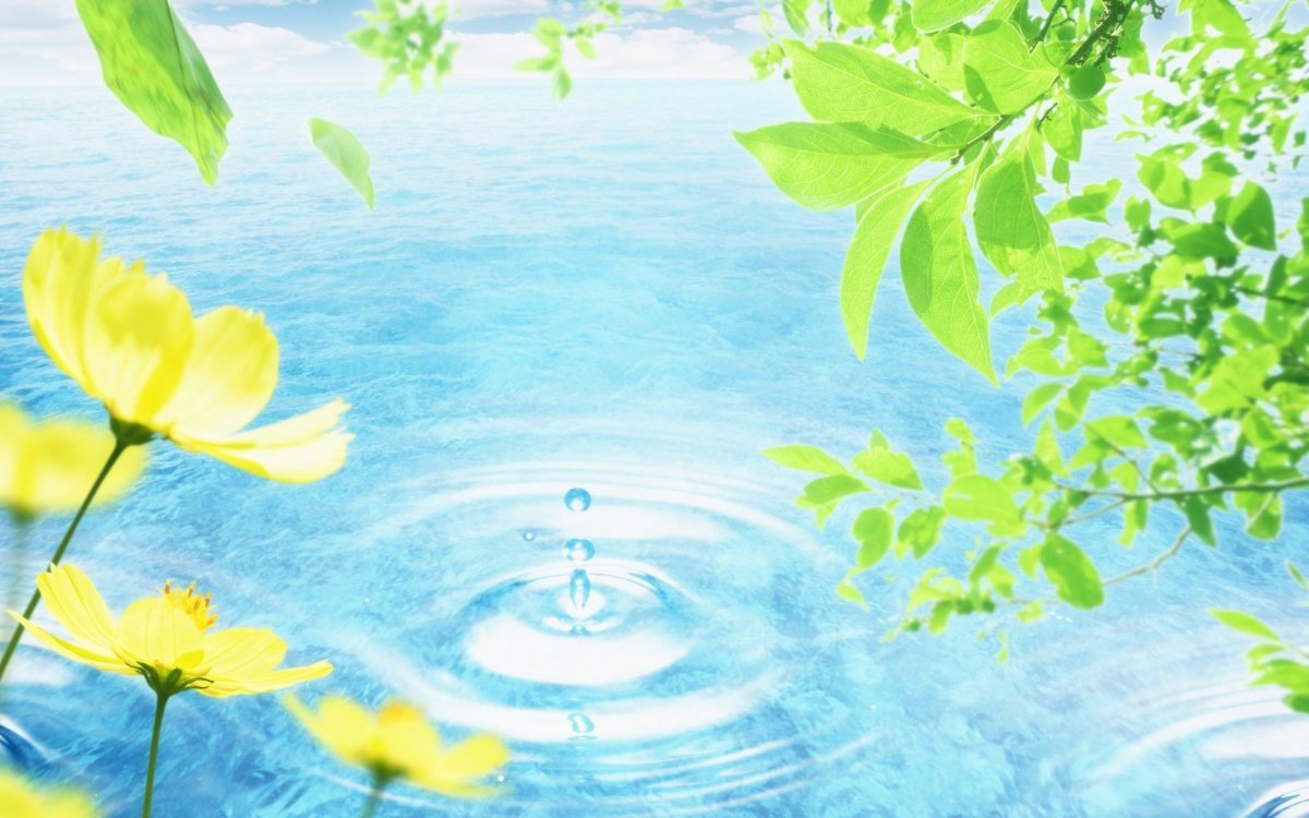 Водный фон для презентации