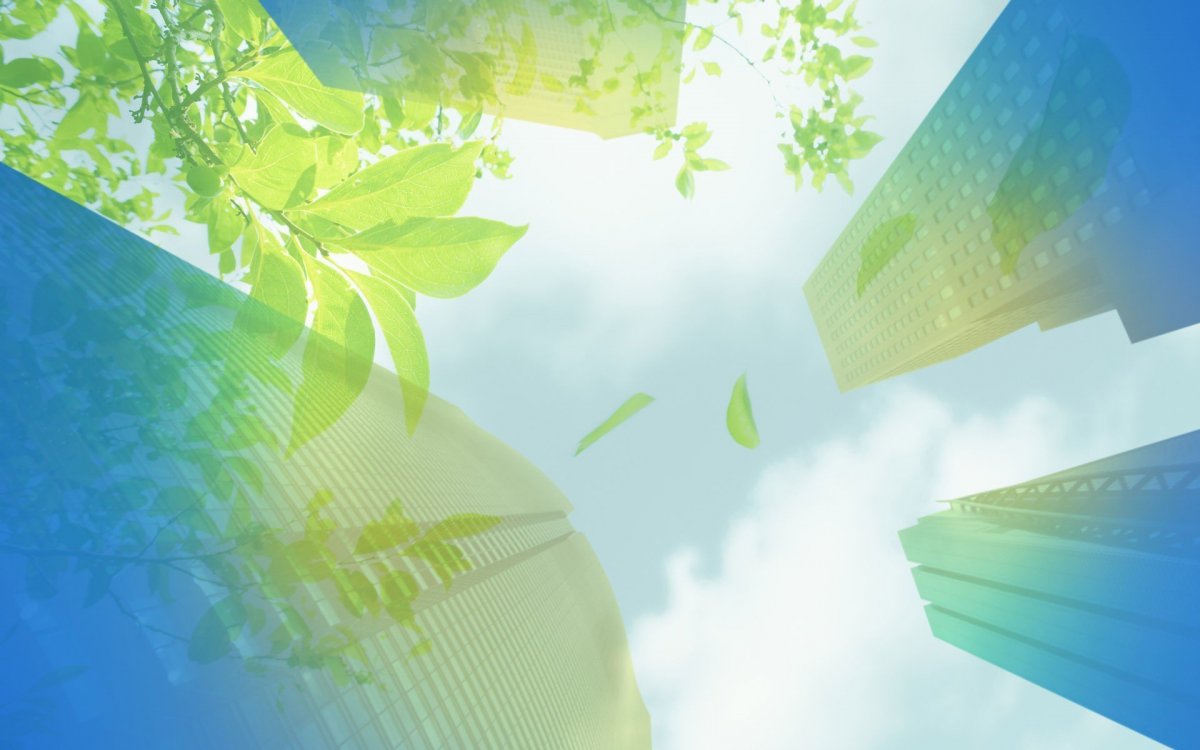 Экологический фон