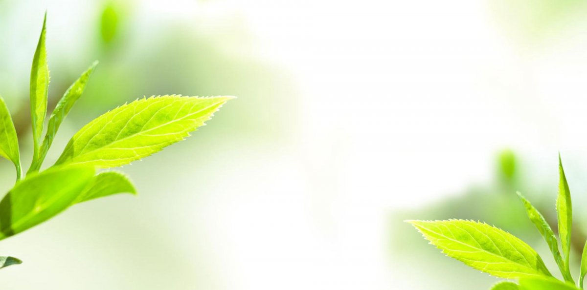 Фон для презентации природа