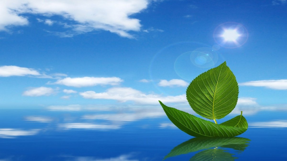 Свежесть воздуха