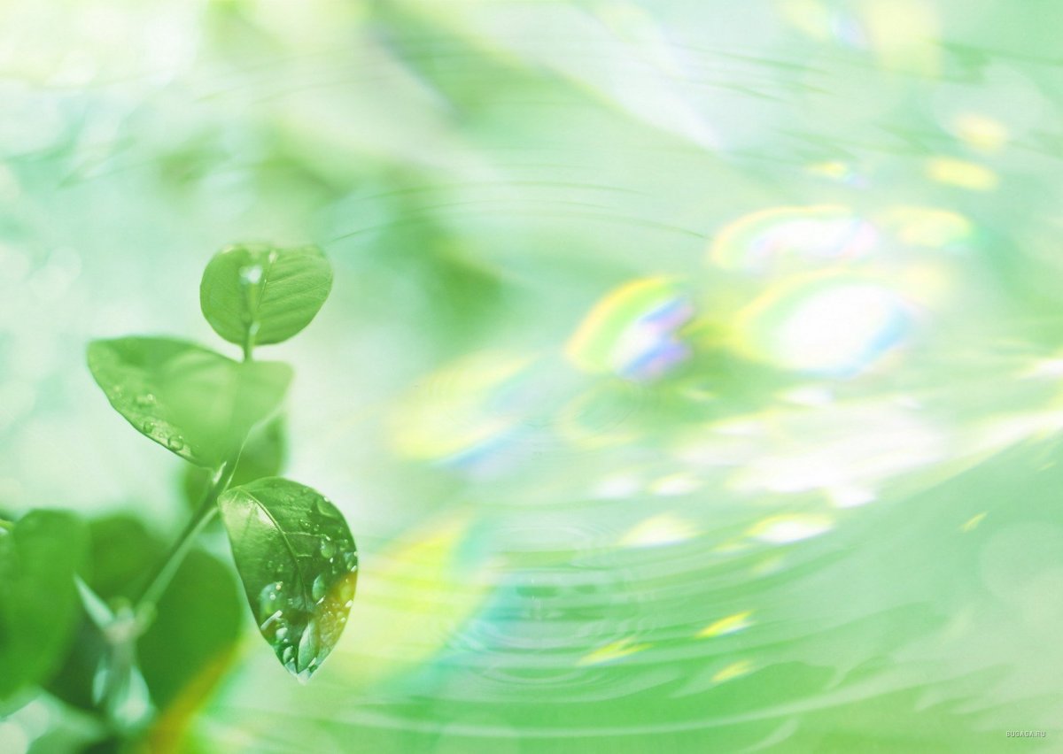 Летний пейзаж