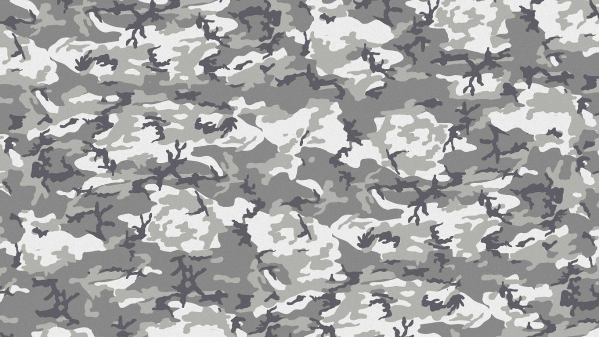 Бателфилд 4 солдаты