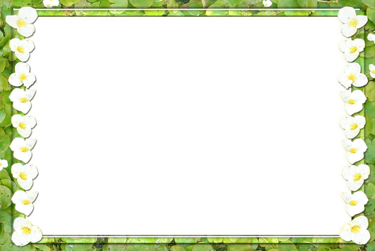 Рамка с весенними цветами
