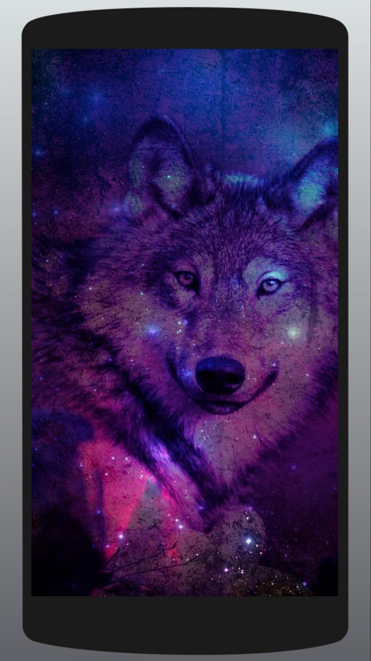 Обои на телефон волк