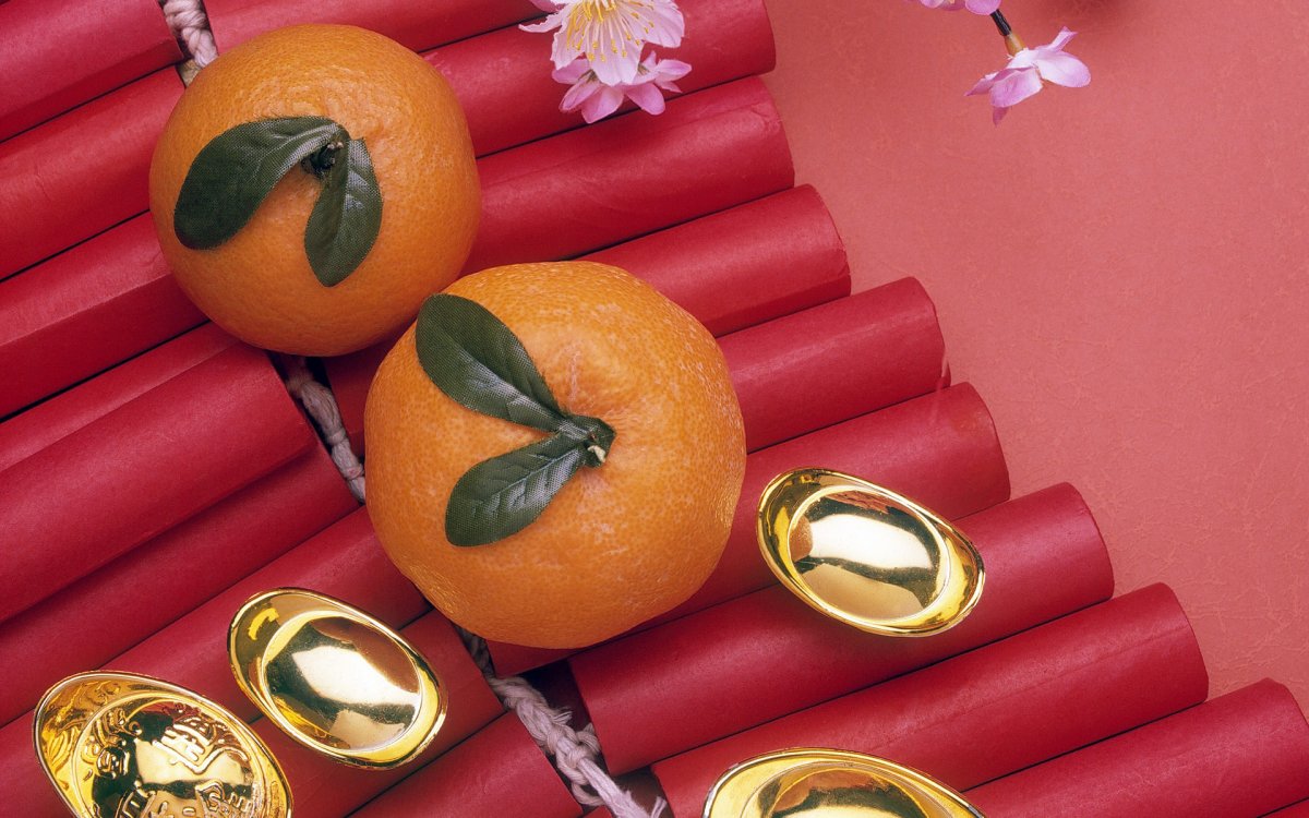 Подкова «удачи и богатства»»